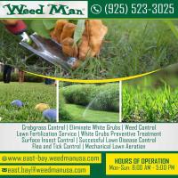 Bermuda Grass Control in EASTBAY | Weed Man image 1